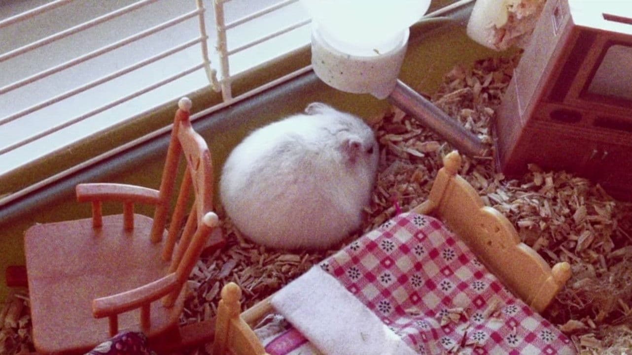 Nymphomaniac: Vol. I