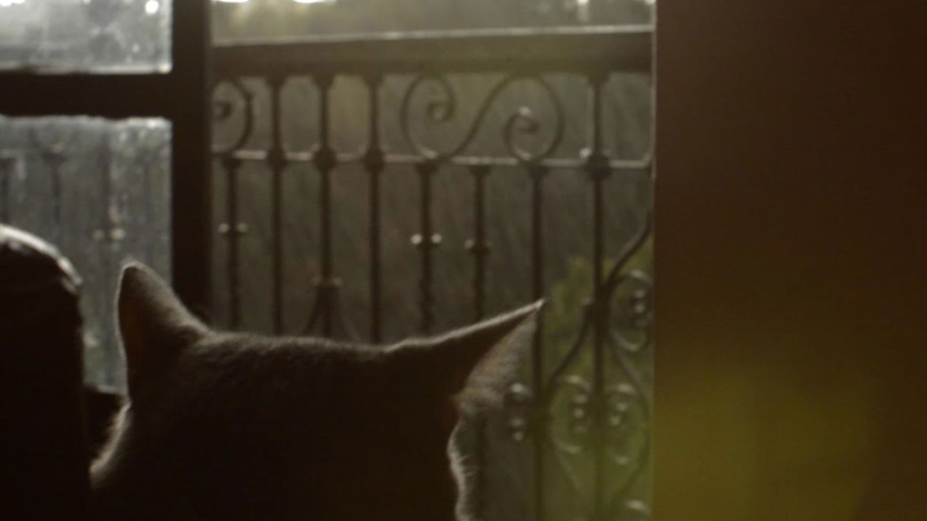 Cuando Está Lloviendo y Eso