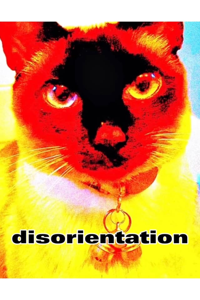 disorientation