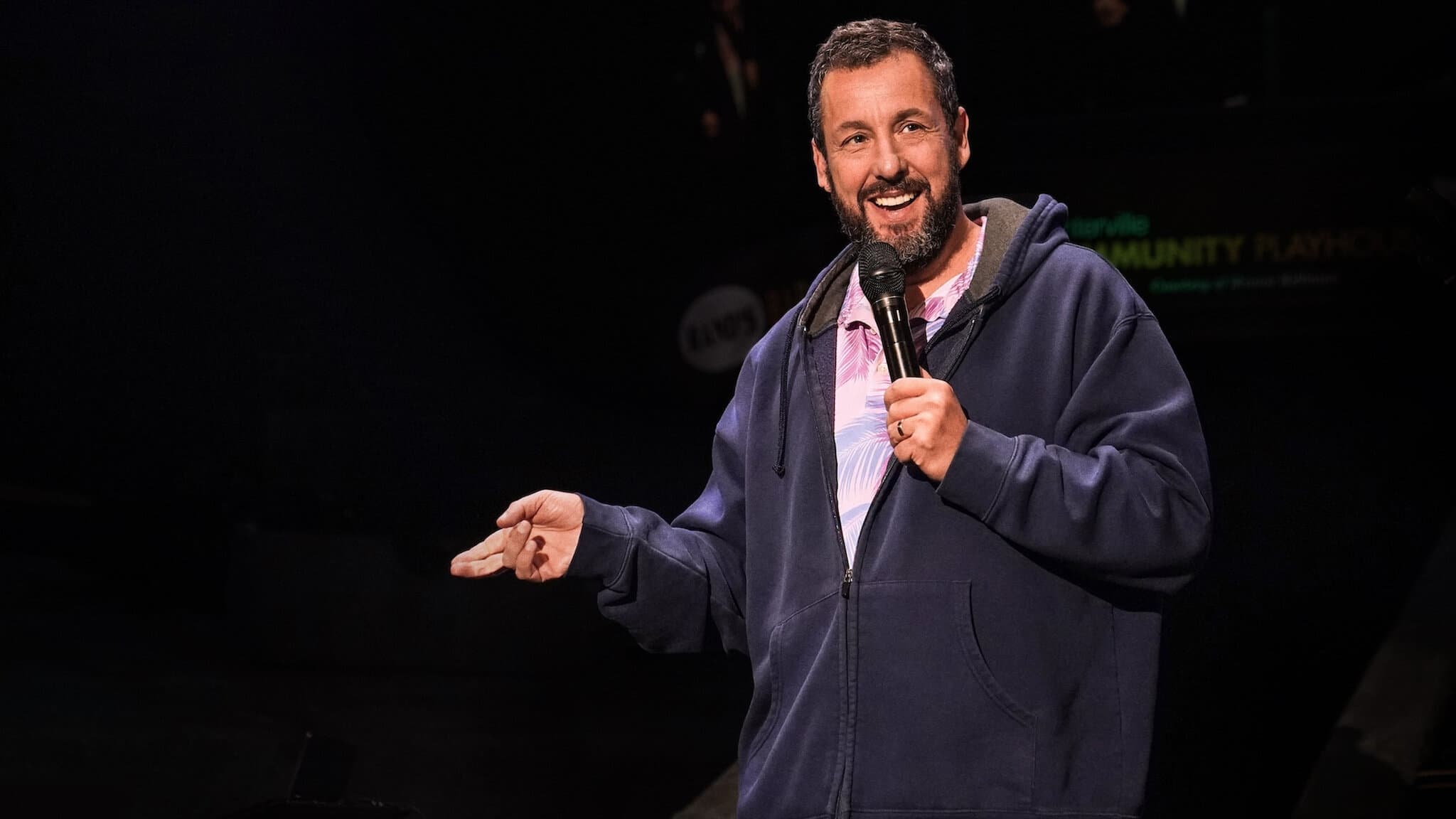 Adam Sandler: Love You